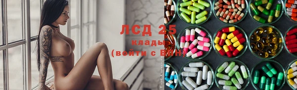 индика Беломорск