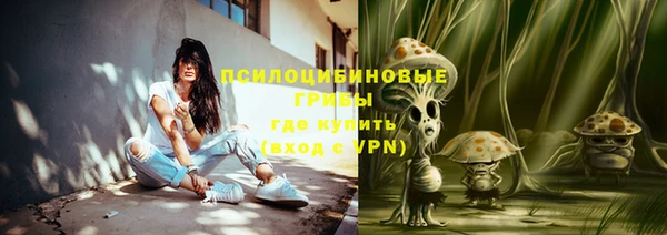 марки lsd Белокуриха