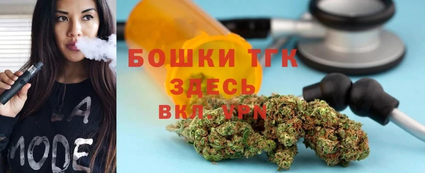 индика Беломорск