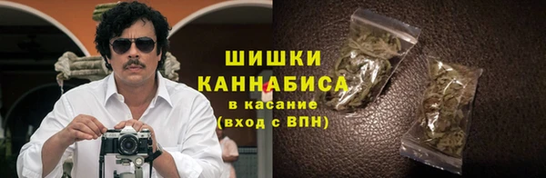 индика Беломорск