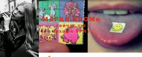 индика Беломорск