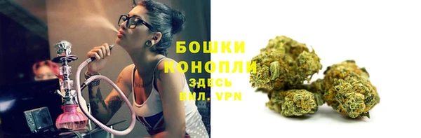 марки lsd Белокуриха
