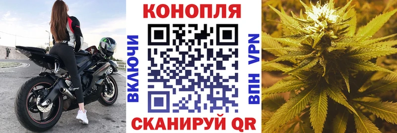 Шишки марихуана марихуана где найти наркотики Улан-Удэ